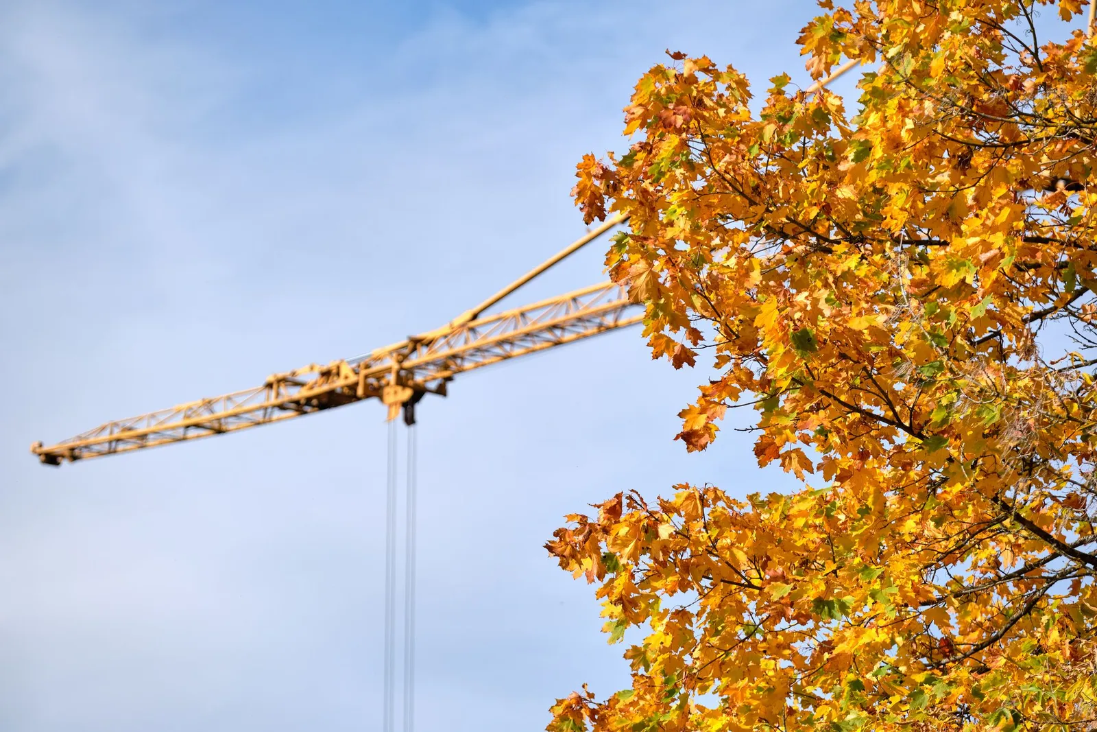 Shoulder Season Strategies: Optimizing Building Schedules for Fall Efficiency