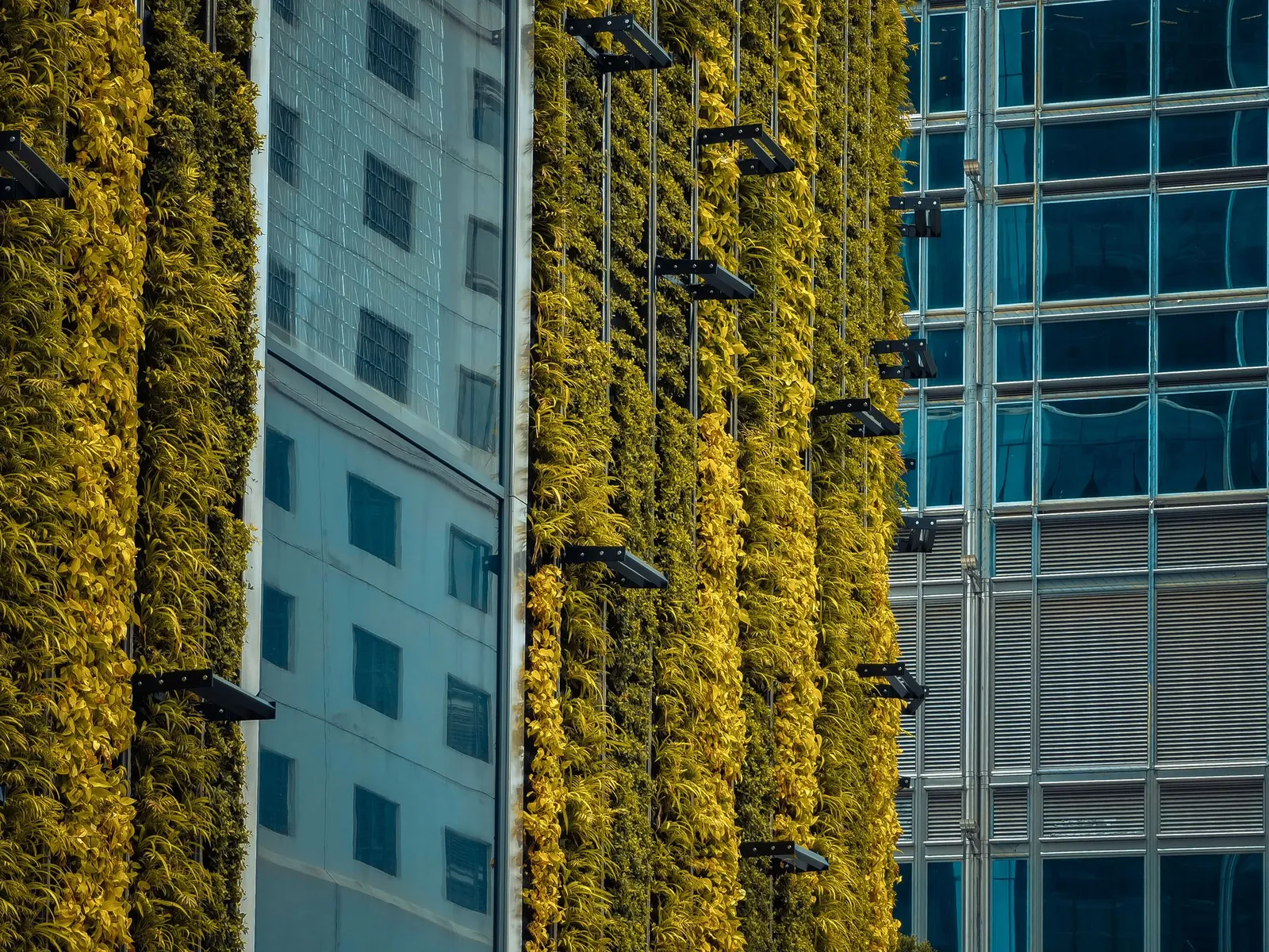 New State Carbon Reporting Laws: What Commercial Real Estate Firms Need to Know in 2025